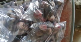 Exportación calidad extra +38165 3875 233 Viber,Whatsapp embalaje 5