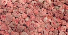 Frozen (FRREZE) DETALLES EN EL TELÉFONO +37369204321 WHATSAPP /VIBER/