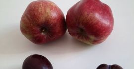 Vendo hermosa fruta recolectada directamente del huerto, tengo cualquier