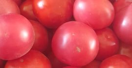 Venderé tomates molidos, precio 4 PLN por kg. Solo