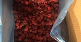 Semiproducto de frambuesa (original) congelado, 10 kg cada uno,