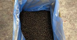 ¡El arándano silvestre congelado IQF está disponible! Por favor