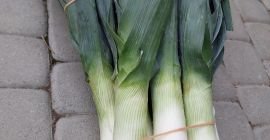 Tengo a la venta una gran cantidad de puerros