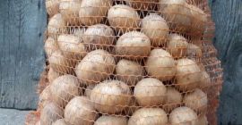 Venderé papas nuevas directamente del agricultor. Variedad Gala. Envasado
