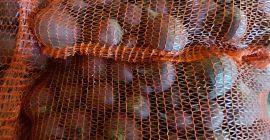 Vendo remolacha redonda roja. Las remolachas se envasan en