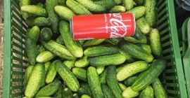 Varios tipos de pepinos Śrem a la venta