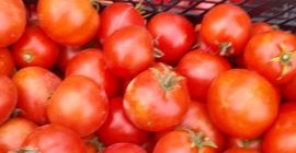 Venderé tomates molidos y de túnel, precio: 3 PLN