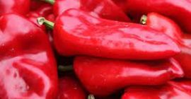 El precio es para primera clase Para obtener más