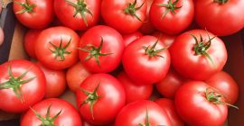 Venderé tomates frambuesa tamaño 2b y 3b, la cantidad