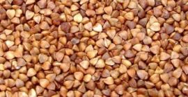 El productor vende trigo sarraceno para la exportación. Condiciones