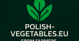 Buscamos empresas dispuestas a actuar como nuestros agentes para