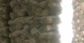 Buscamos empresas dispuestas a actuar como nuestros agentes para