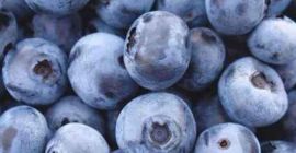 Hola, vendo un arándano fresco de las montañas Jizera,