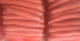 Venderé zanahorias para consumo. Variedad LAGUNA. Teléfono de contacto: