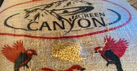 Ofrecemos suministros de semillas de lino para usos forrajeros