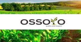 La comercializadora de cereales &quot;Ossoyo&quot; vende trigo, girasol, cebada,