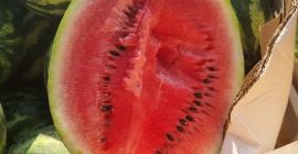 Jugosa sandía directamente de Grecia 8 pal.Calibre 5..12 y