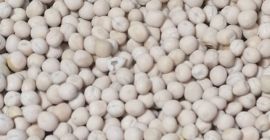 Los guisantes tienen una aplicación de alimentación multipropósito: los