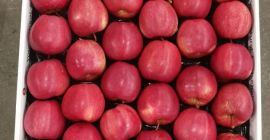 Buenos días. Te ofrezco una hermosa manzana, Gala. Embalado