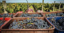 Hola. A fines de septiembre - principios de octubre,