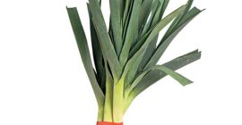 Somos una pequeña empresa con sede en Londres y