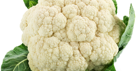 Somos una pequeña empresa con sede en Londres y