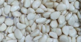 Ofrece ajo blanco pelado. Embalaje a convenir. 5 toneladas