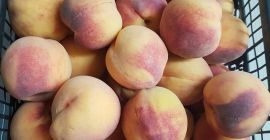 Venderé 3 toneladas de melocotones griegos, 4-5 paletas. Envasado