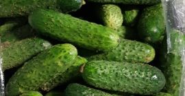 La empresa de jardinería La empresa de jardinería y comercio "Jagoda" de Kalisz