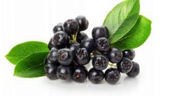 Venderé chokeberry orgánico, sin fertilizantes ni aerosoles. Tengo alrededor