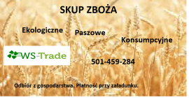 Compraré maíz, chocho, avena, guisantes y otros granos. Ecológicos,