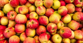 Vendemos manzanas para industria aproximadamente 500 toneladas Detalles al