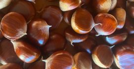 Somos uno de los mayores productores de castañas dulces