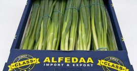 a la venta Cebolla puerro procedente de Egipto, donde