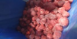 Vendo fresa ZENGA ZENGANA Embalaje 1/11 en bolsas de