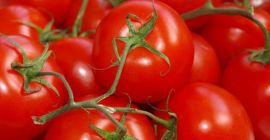 Venta de tomates molidos verdes y rojos. Redondo y