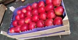 Buenos días. Vendo manzana Gala, para exportación. Envasado en