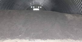 Girasoles Disponible inmediatamente, almacenado en Eslovaquia. Cosecha 2021 Variedad