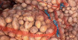 Hola vendo papas directamente del campo, cantidad de carro