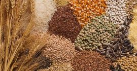 La empresa polaca comprará para la exportación una gran