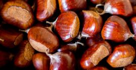 Castañas MARRONI DOP, de Caprese Michelangelo.