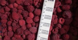 Venderé frambuesas congeladas en la calidad 90/10: Frambuesa 90/10