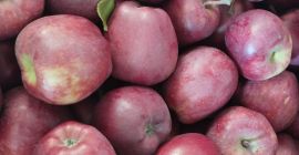 Venderé 20 cajas de manzanas del grupo Red Chief.