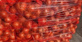 Venta de cebolla, 22000 kg. Origen Turquía. Envasado sacos