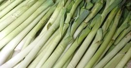 Vendo temporadas de verano, largos por piezas o kg,