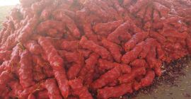 Vendemos Cebollas Rojas Bio reales - Calidad Superior y