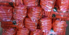 zanahorias frescas. Precio FOB. Podemos envasar a los pesos