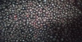 Venderé una baya del bosque congelada de Ucrania. Sólo