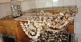 Hongos porcini secos tel739528443