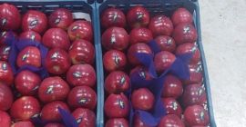 Manzanas Starkinson y Granny.